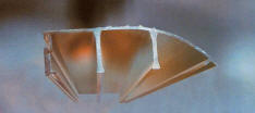 Garage Door Screens
