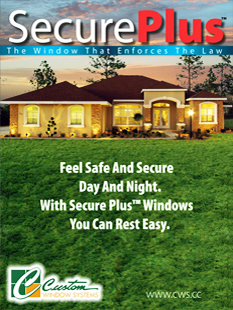 Secure Plus Windows