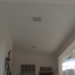 Vinyl Ceilings