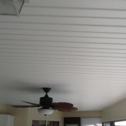 vinyl ceiling 3