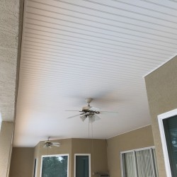Vinyl Ceiling After Oct 2016-3