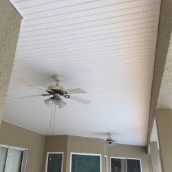 Vinyl Ceiling After Oct 2016-4